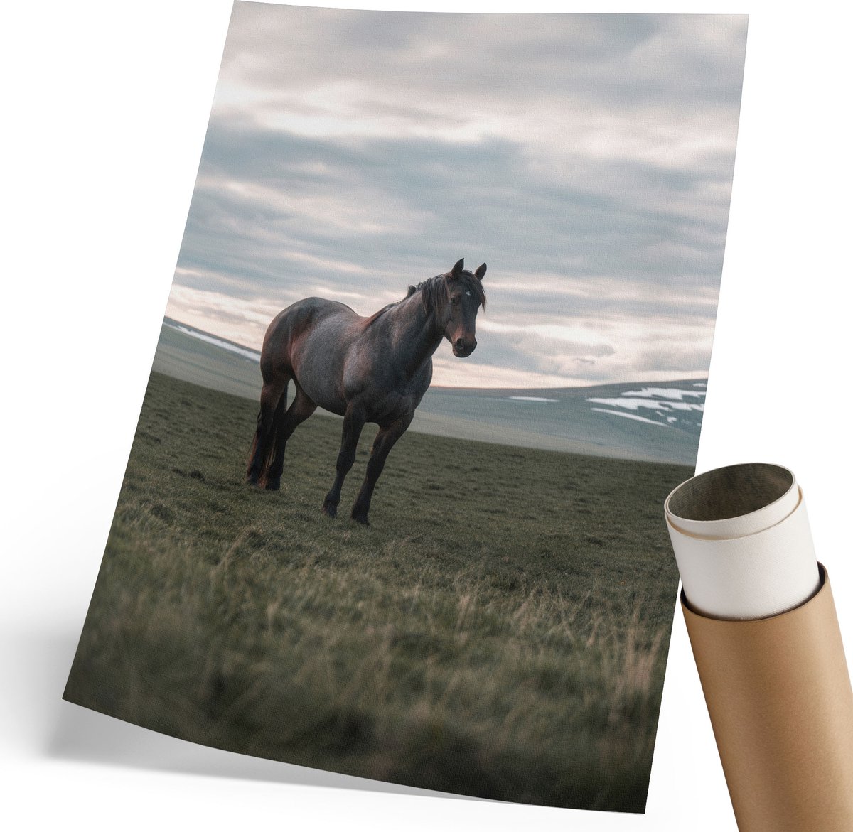 Coloray Canvas Poster Polycanvas - Ochtendrust, Fotografie - 210 x 297 mm - Grijs Poster - Rechthoek - Decoratieve poster - Woonkamer, Slaapkamer, Kantoor - Klassiek