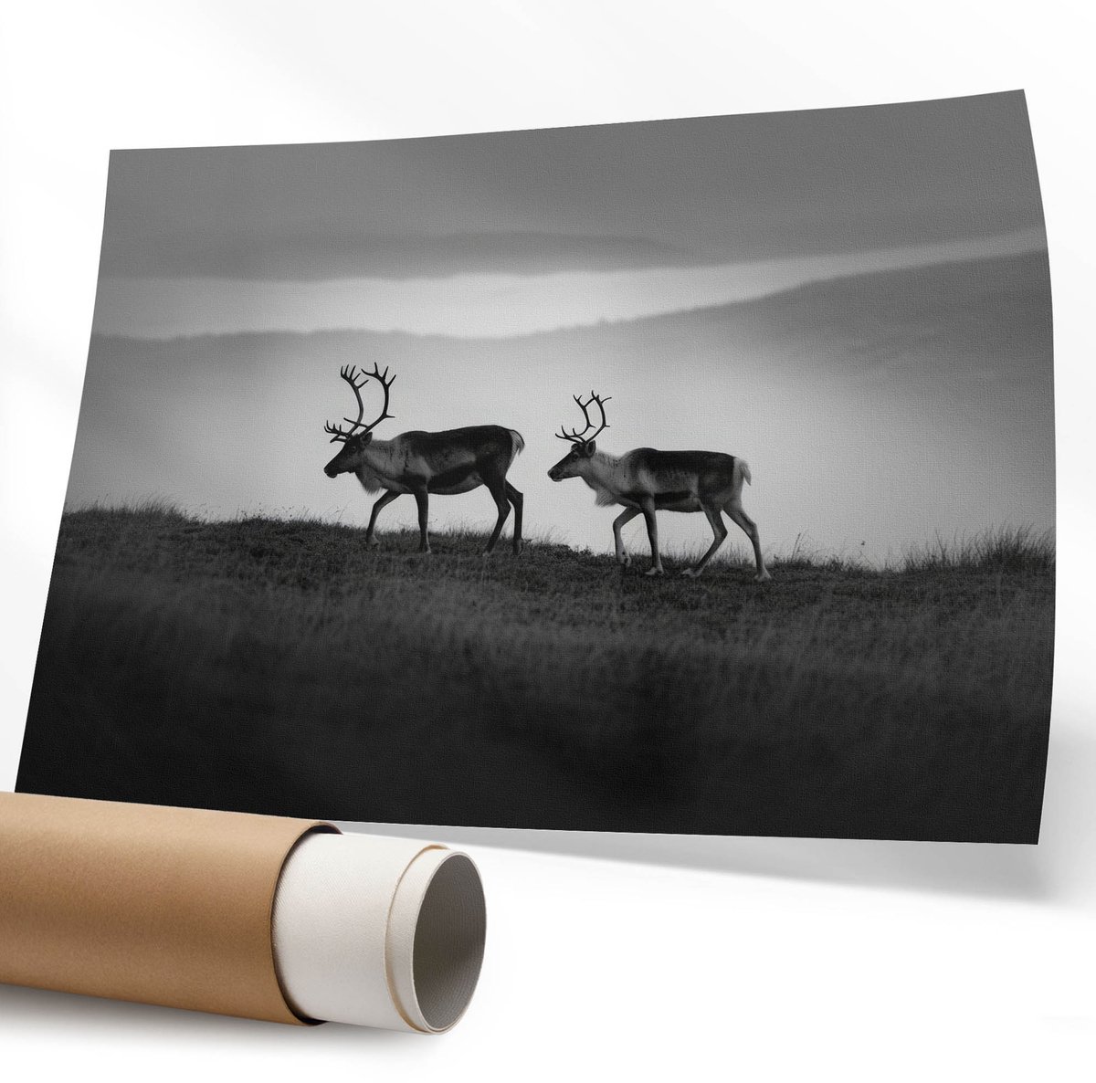 Coloray Polycanvas Wandposter - Paardenportret, Fotografie - 594 x 840 mm - Bruin Kunst - Rechthoek - Wandkunstwerk - Slaapkamer - Klassiek