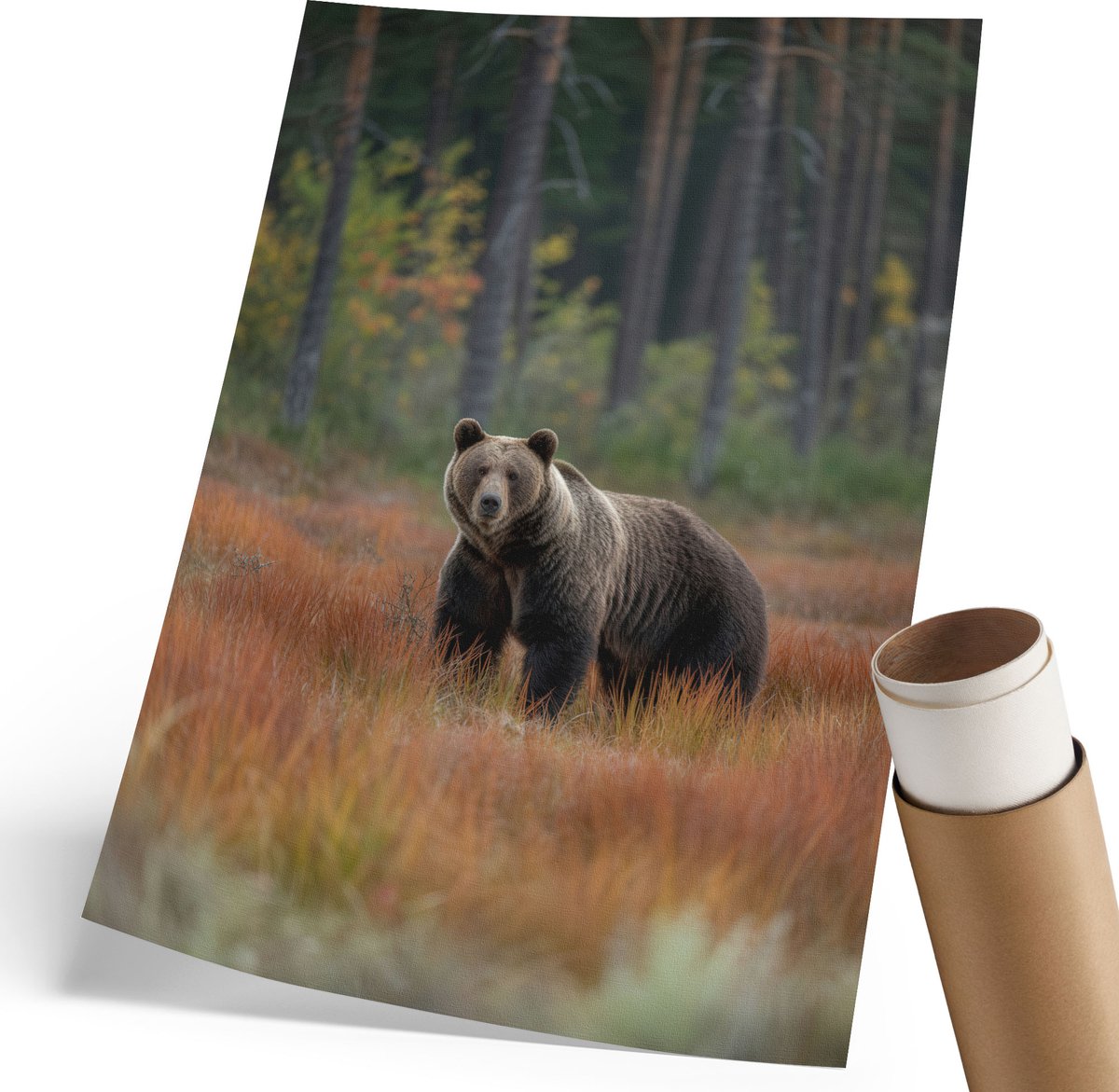 Coloray Polycanvas Wandposter - Beer In Het Bos, Fotografie - 210 x 297 mm - Bruin Poster - Rechthoek - Wandkunstwerk - Woonkamer, Slaapkamer, Kantoor - Klassiek