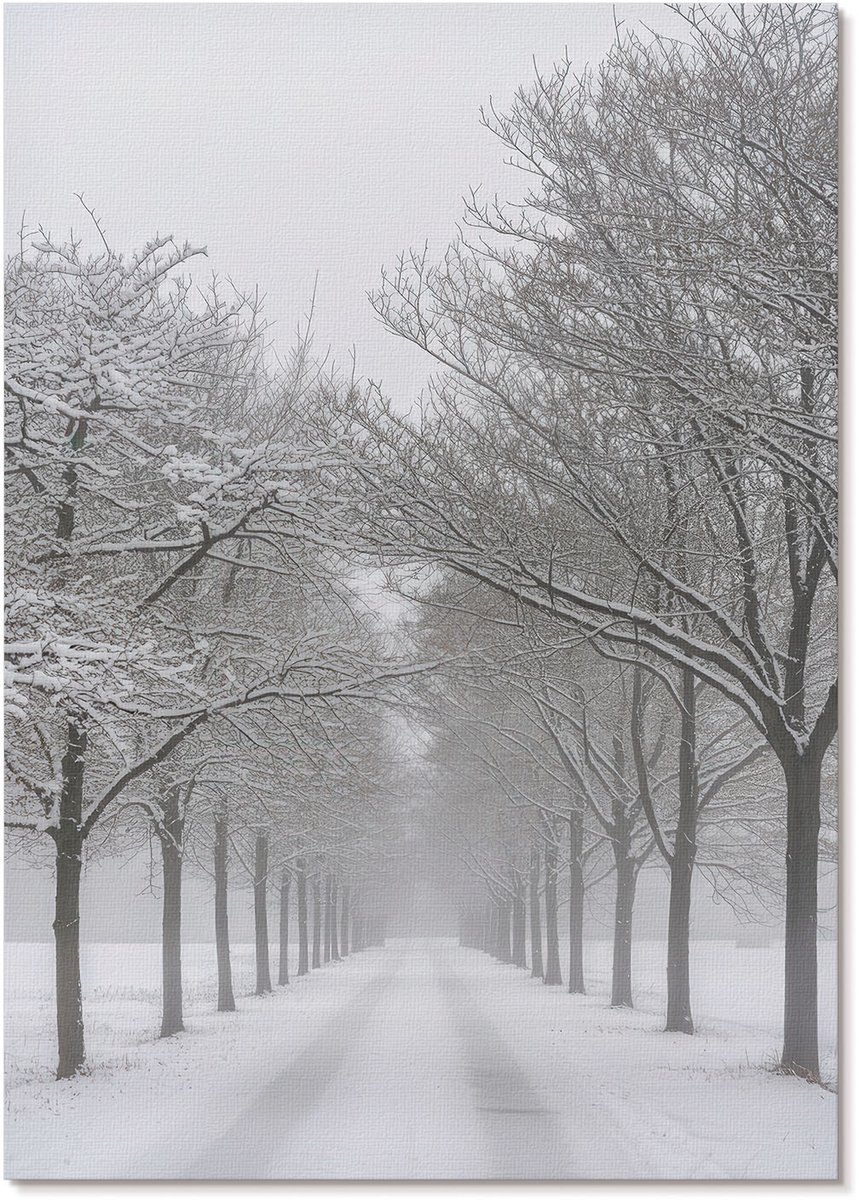 Tulup Polycanvas Poster - Besneeuwde Steeg, Fotografie - A4 - Wit Illustratie - Rechthoek - Muurdecoratie - Woonkamer, Slaapkamer, Kantoor - Klassiek