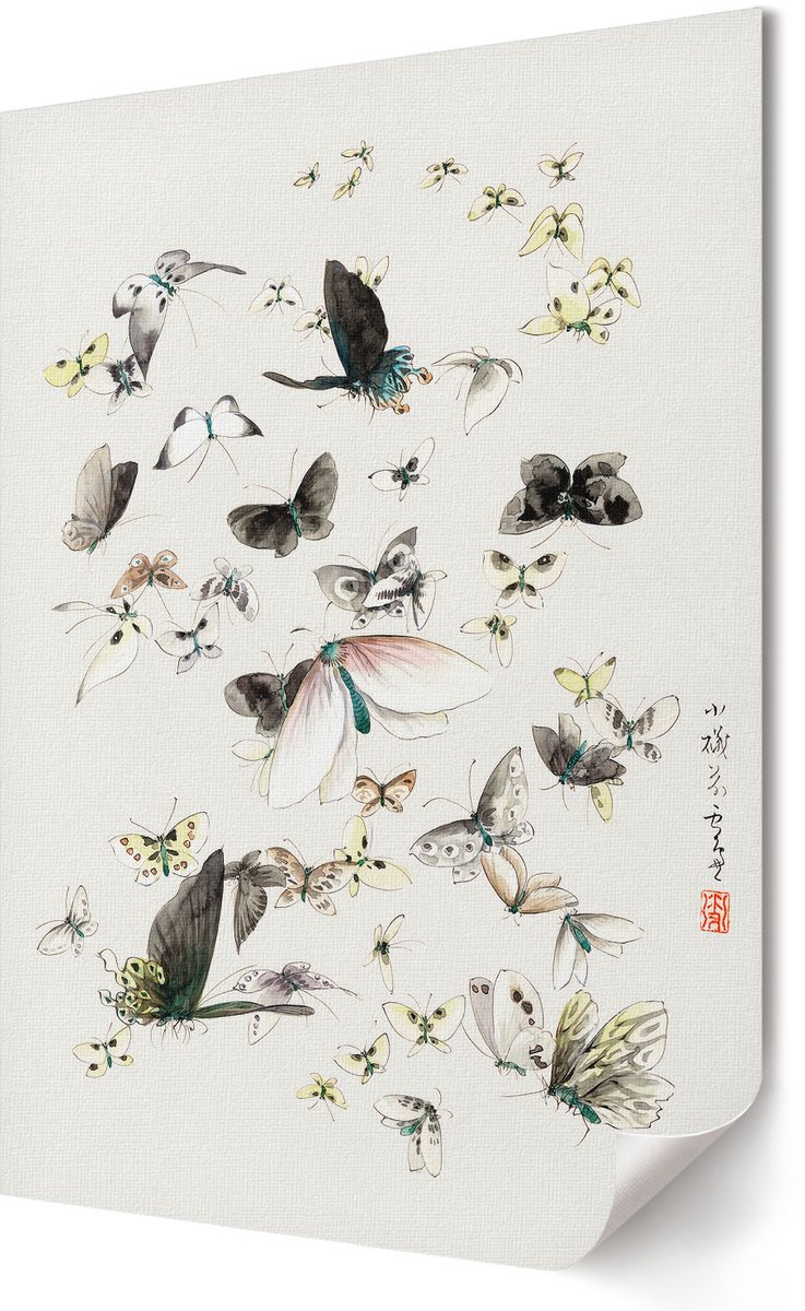 Coloray Polycanvas Poster - Vlinders En Motten, Waterverf - 420 x 594 - Wit Wanddecoratie - Rechthoek - Decoratieve poster - Woonkamer, Slaapkamer, Kantoor - Japanse
