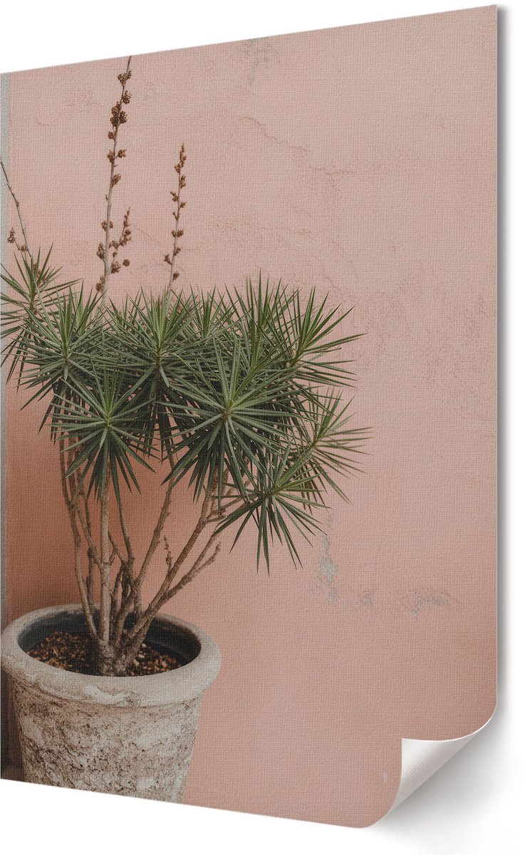 Coloray Polycanvas Poster - Potplant, Fotografie - 594 x 840 - Groen Wanddecoratie - Rechthoek - Kunstposter - Slaapkamer - Rustiek