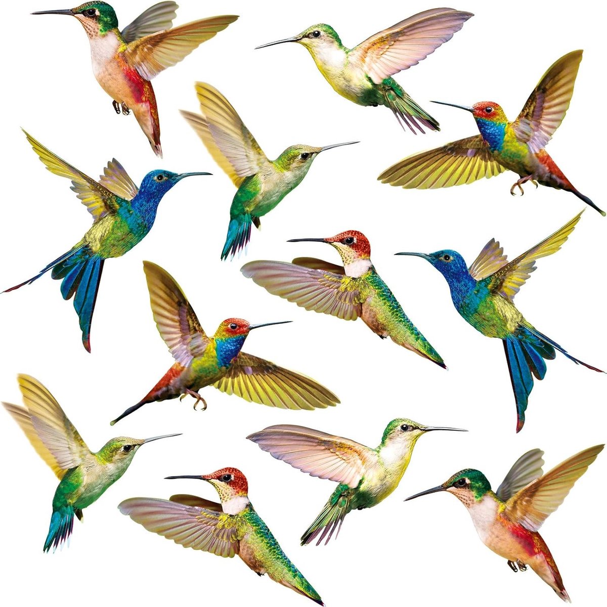 18 Grote Kolibrie Raamstickers voor het Voorkomen van Vogels Botsingen en Aanvallen op Glas, Niet-Plakkerige Vinyl Stickers voor Raamdecoratie en Dierenbescherming