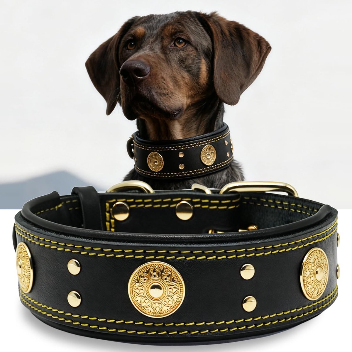 Leer, 5 cm breed, robuust, echt leer, handgemaakt, zacht en luxueus, opvallende beste keuze voor grote en middelgrote hondenrassen, goud-zwart, S