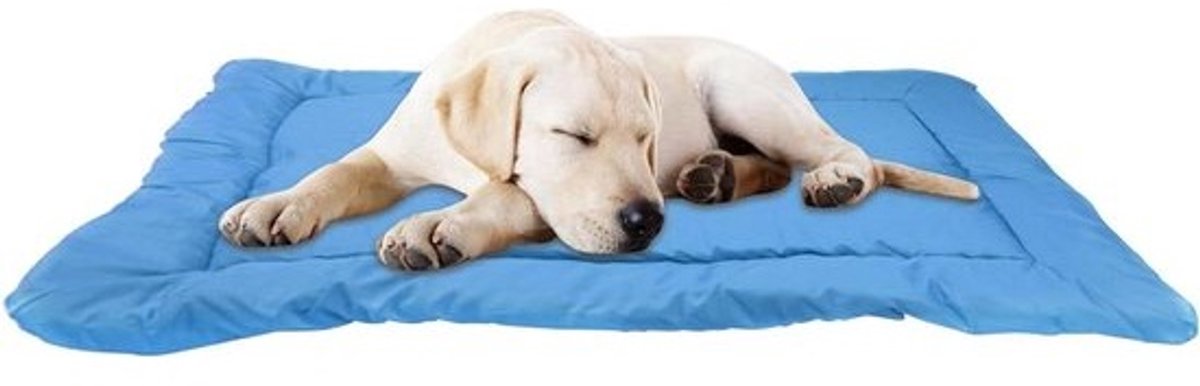 Hondenbed voor buiten - Kampeerslaapmat huisdier - Reizen en kamperen - Antislip en waterdicht - 90x60x3 cm - Blauw
