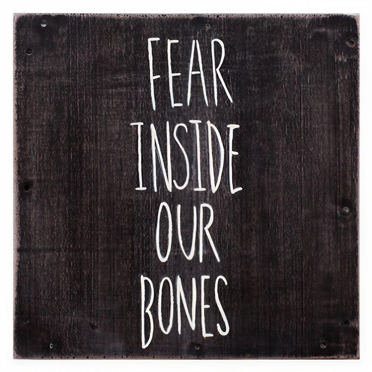 The Almost - Fear Inside Our Bones (CD)