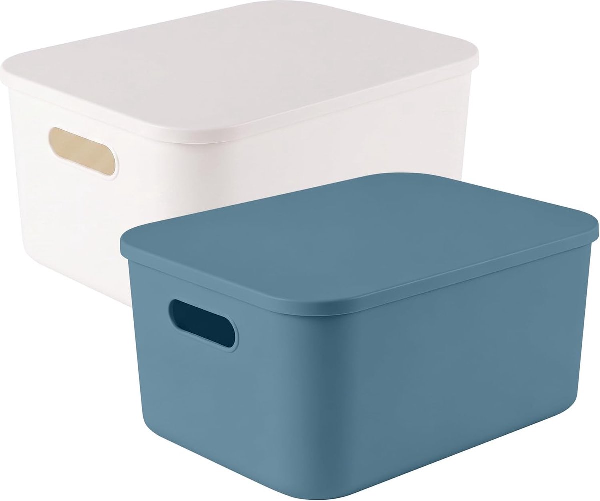 Set van 2 opbergdozen met deksel, 35 x 24,9 x 15 cm, kunststof opbergmand, stapelbare opbergdozen voor planken, keuken en badkamer