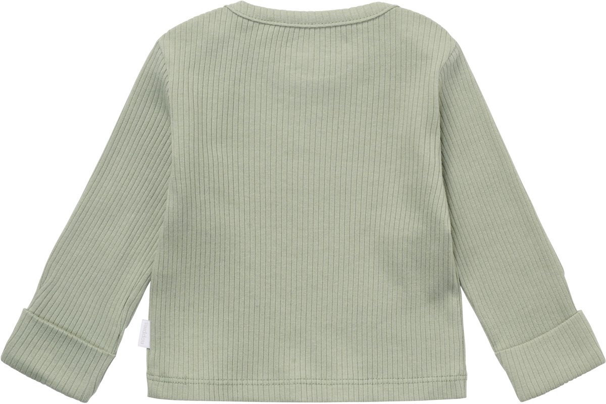 Noppies Shirt Lange Mouw - Maat 74 - Iceberg Green