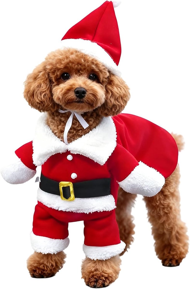 Kerstkostuum voor Huisdieren met Santa Claus Outfit en Hoed, Warme Cosplay Kleding voor Katten en Honden, Feestelijke Dressed Up Accessoires voor de Winter