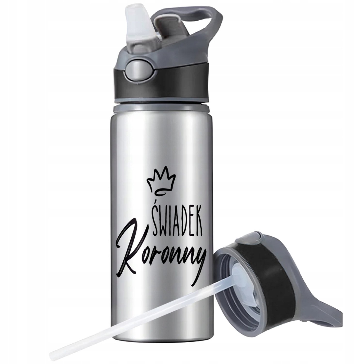 Sport Bidon 650ml Aluminium met Rietje en Handvat