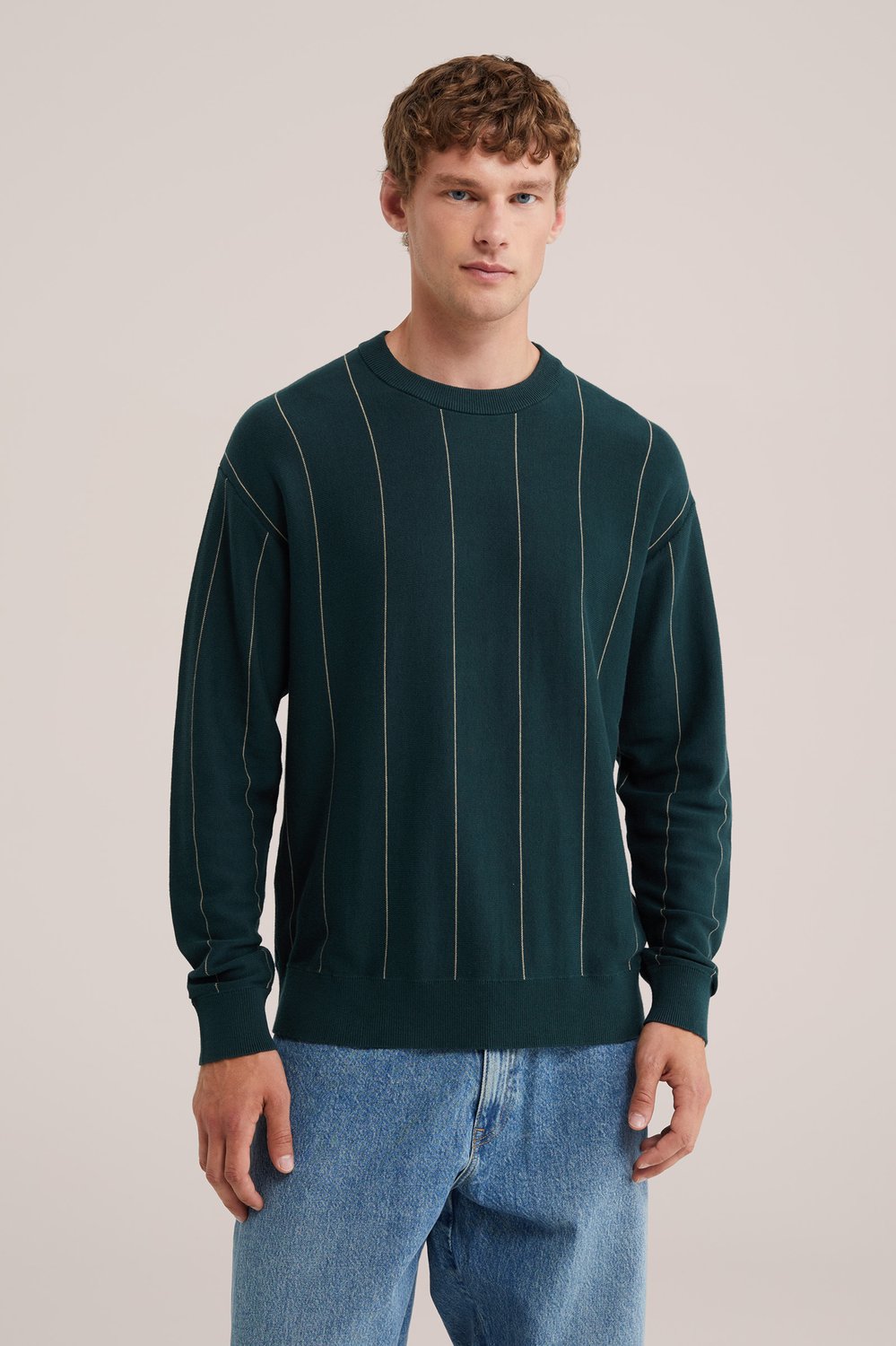 WE Fashion Heren regular fit trui met streep