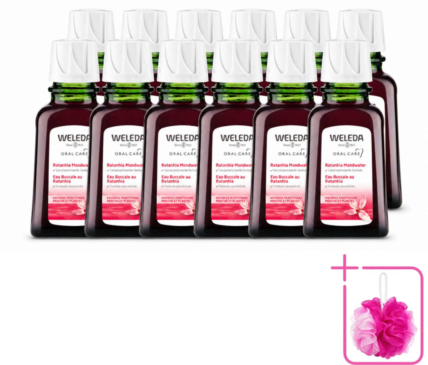 12 x WELEDA - Mondwater geconcentreerd - Ratanhia - 50 ml - Bulkverpakking - Mondwater - Douchemop - Tandvlees verzorging