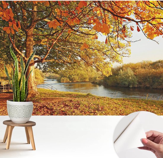 Zelfklevend herfstbehang met een rivier; een plant op een krukje en een hand die het behang losmaakt.
