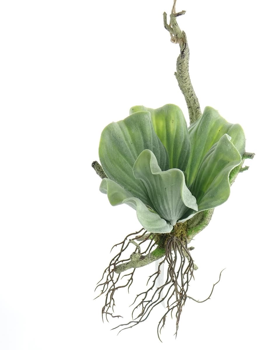 Gasper Hanger Tak met Sukkulent Groen 33 cm - Kunstplanten