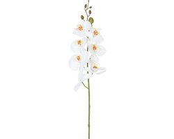 Easyplants | Kunstbloem Orchidee 84 cm wit | Zijde | Nepbloemen | wit | Onderhoudsvrij | Kant-en-klaar