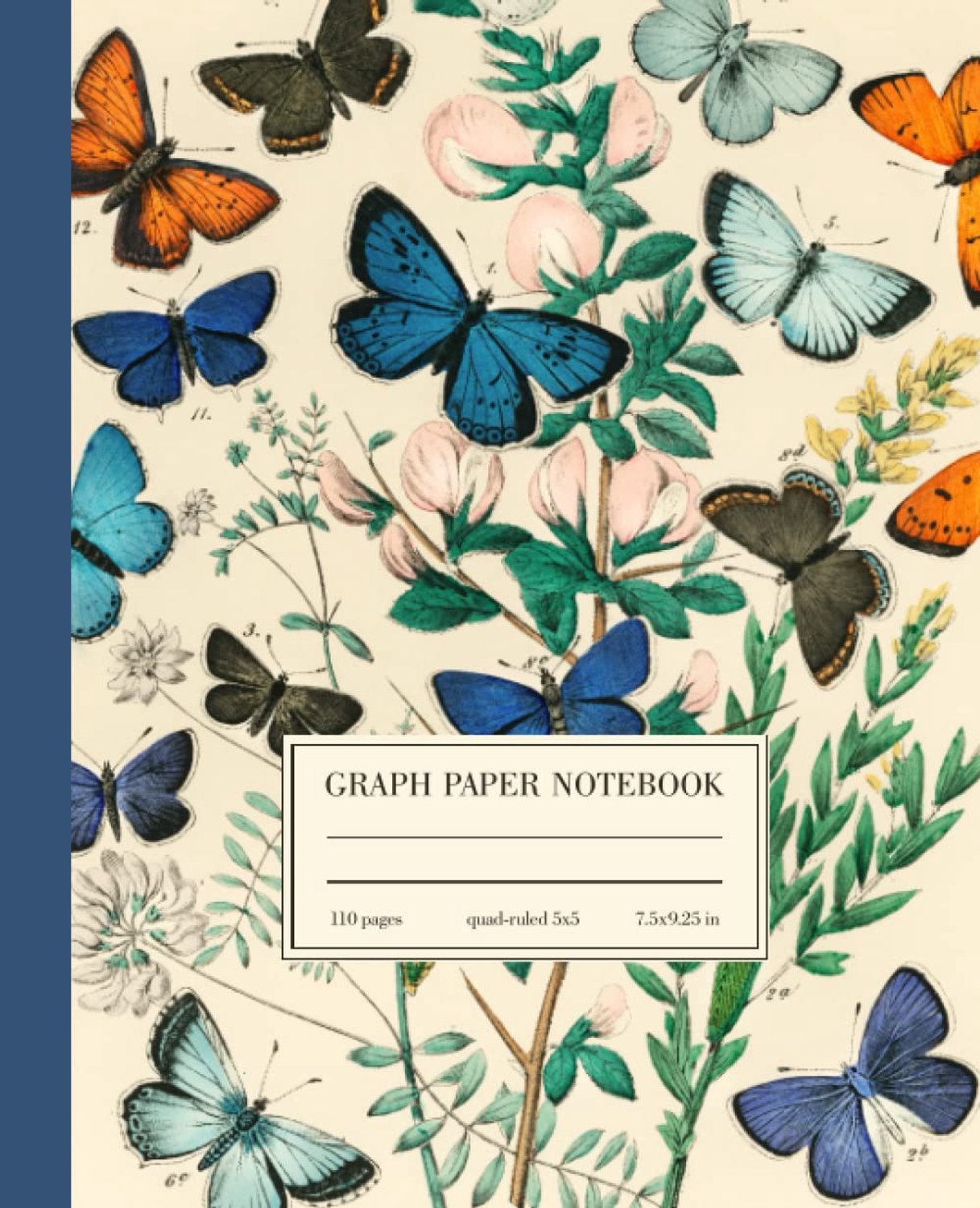 Graph Paper Notebook Quad Ruled 5x5: Butterfly Vintage Science Illustration - ShopVlot