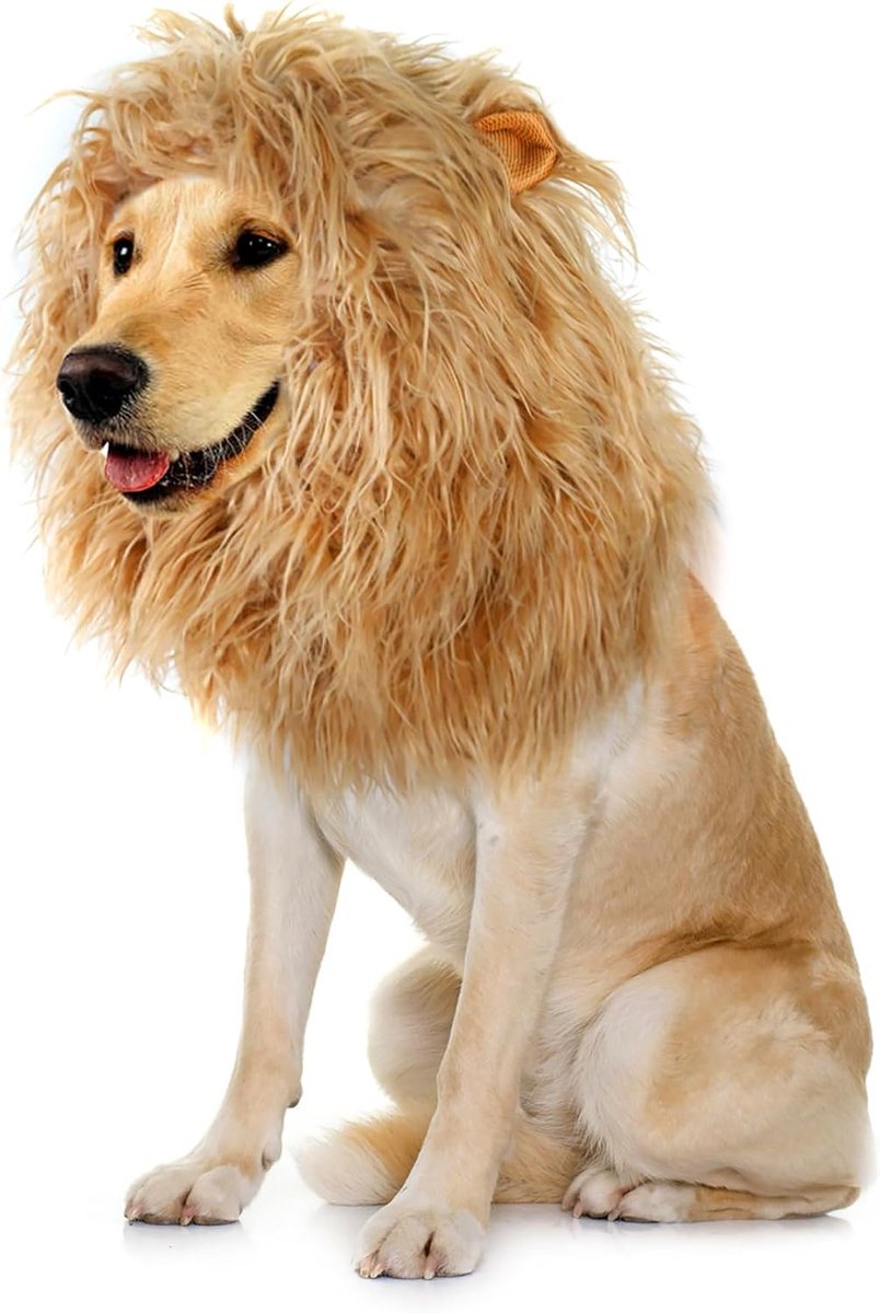 Leeuwenmanenpruik voor honden met oren, grappige huisdierkostuums voor Halloween Kerstmis