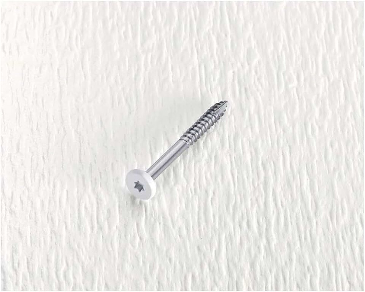 SS Fascia 9 x 1-7/20,3 cm Torx wit 100 PC