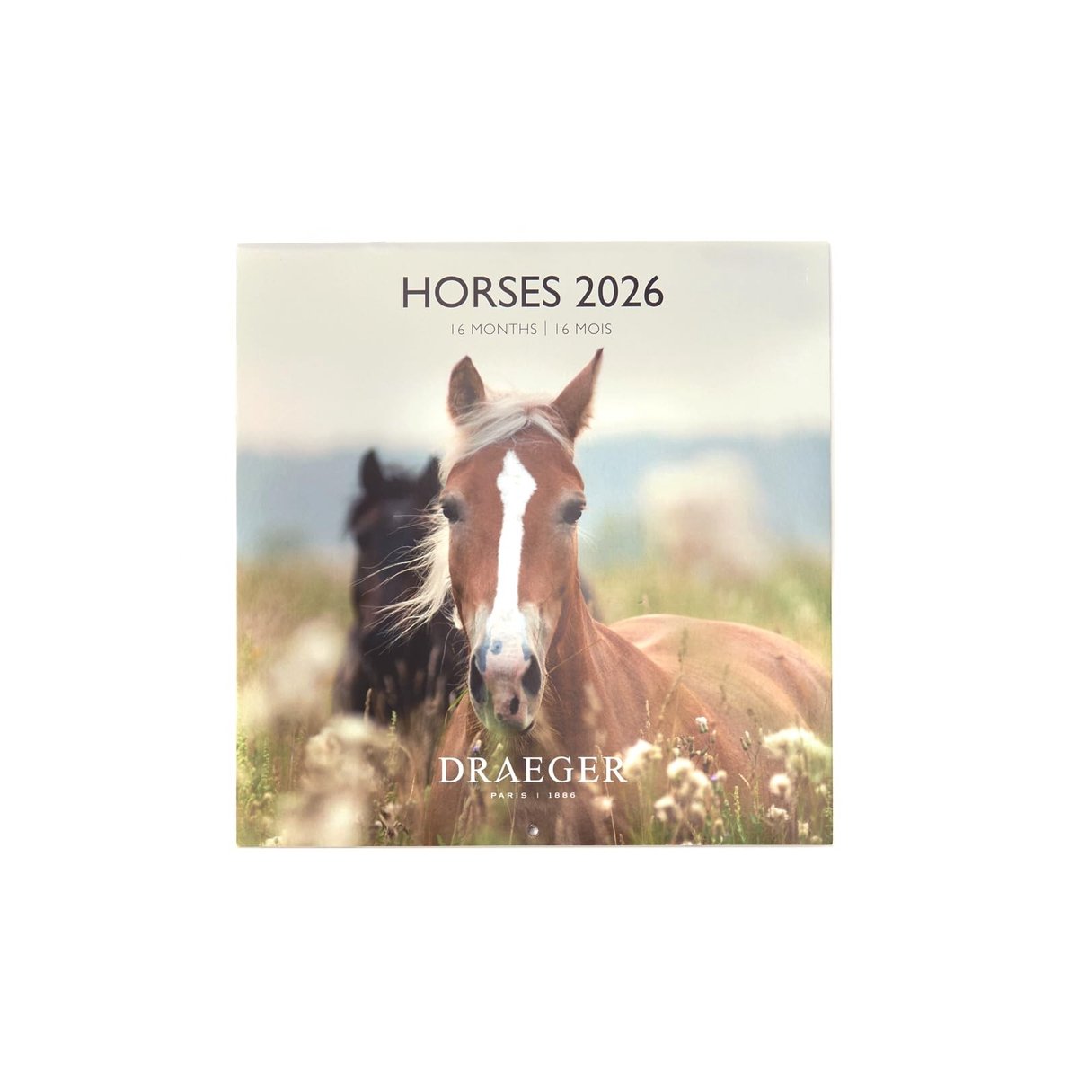 Elzusha - Large Wall Calendar 2026 - Paard Motief - 12 Maanden