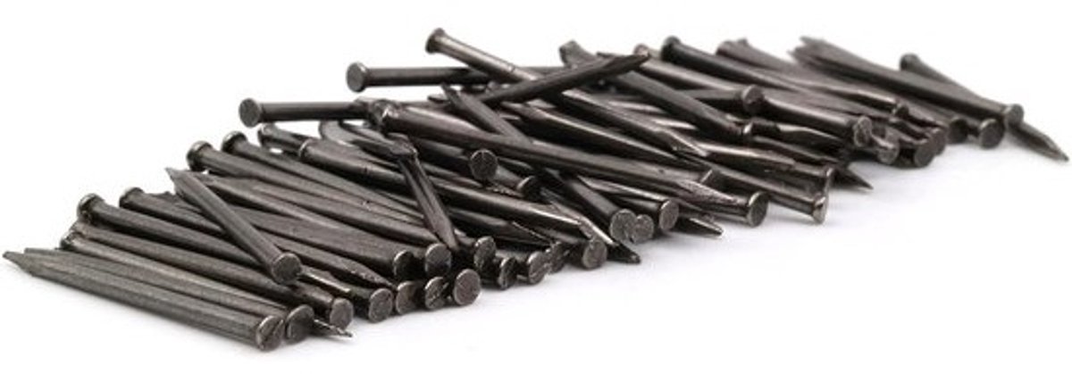 Stalen spijkers - Afwerkingspennen - Voor klusprojecten - Met kleine platte kop - 20 mm lengte - Zilverkleurig