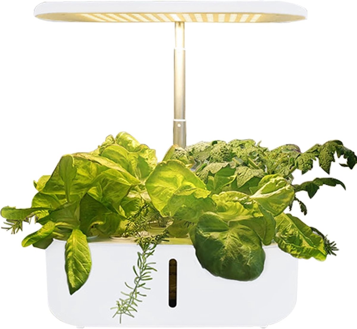 Mini Hydroponische Kweekkas voor Binnen met LED Verlichting - Complete Set voor 10 Planten, Ideaal voor Tuinliefhebbers en Groene Vingers