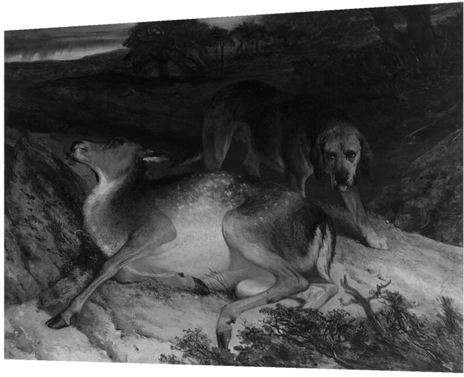 Printen.eu Poster - Wounded Stag and Dog - 59.4 x 42 cm Multicolor