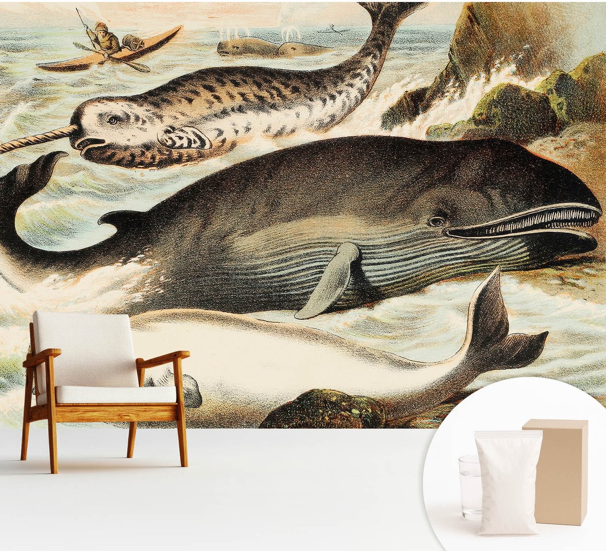 Wallfluent Fotobehang - Wit Vliesbehang - 312x219 cm - Zeereuzen Muurschildering - Slaapkamer behang Dieren - Fotobehang Vlies - Slaapkamer behang