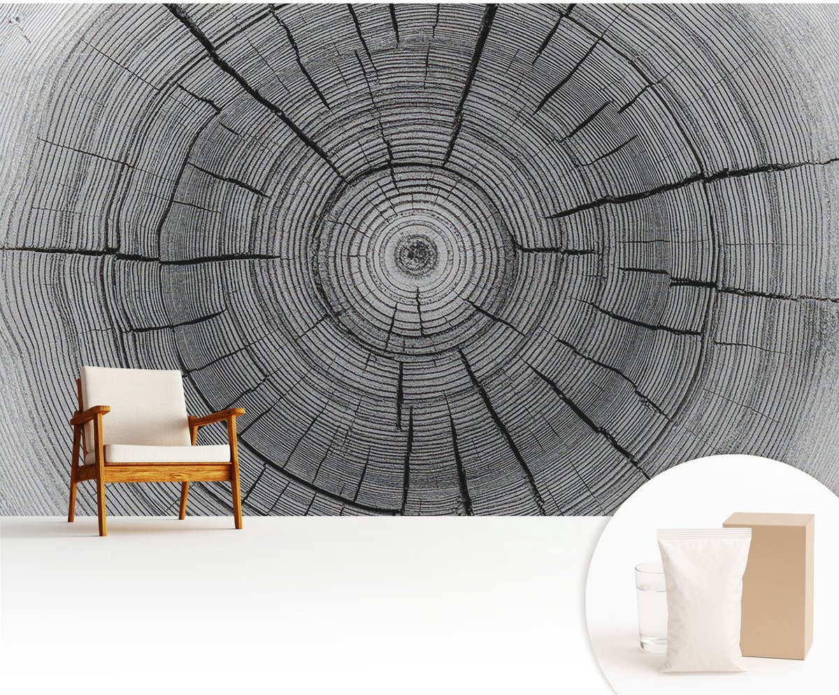 Wallfluent Fotobehang - Zwart-Wit Vliesbehang - 416x254 cm - Bosharmonie Fotobehang Vlies - Hal behang Texturen - Muurschildering - Woonkamer behang