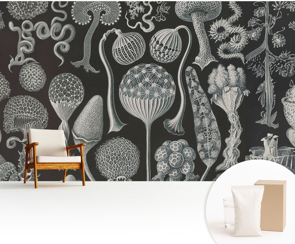 Wallfluent Fotobehang - Zwart Vliesbehang - 416x254 cm - Magische Planten Fotobehang Vlies - Hal behang Deel - Muurschildering - Woonkamer behang