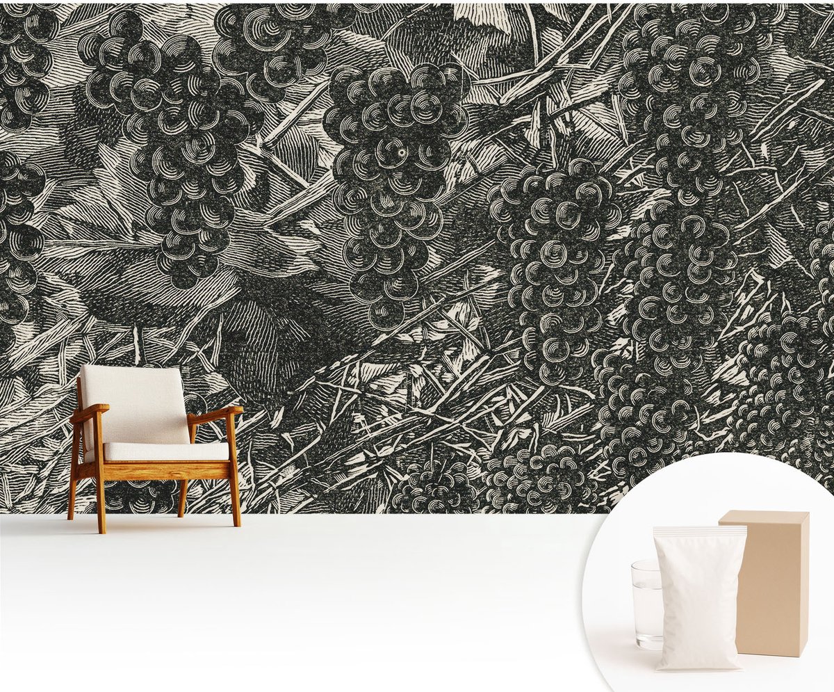 Wallfluent Fotobehang - Zwart-Wit Vliesbehang - 416x254 cm - Druivenafdruk Fotobehang Vlies - Hal behang Bloemen En Planten - Muurschildering - Woonkamer behang