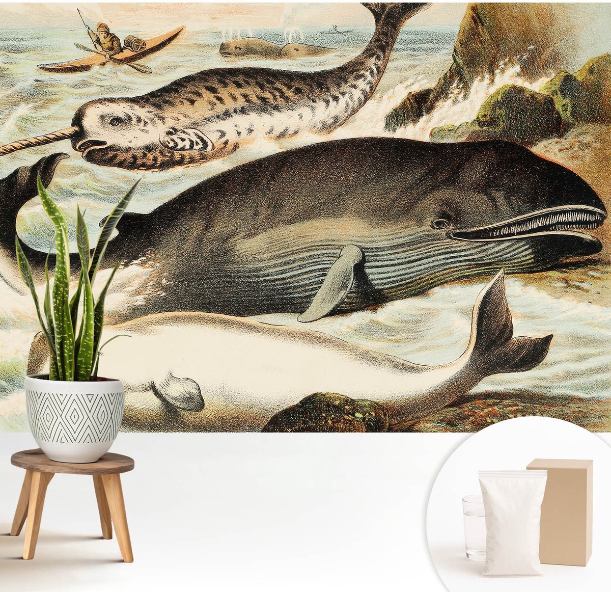 Wallfluent Fotobehang - Wit Vliesbehang - 208x146 cm - Zeereuzen Muurschildering - Slaapkamer behang Dieren - Fotobehang Vlies - Slaapkamer behang