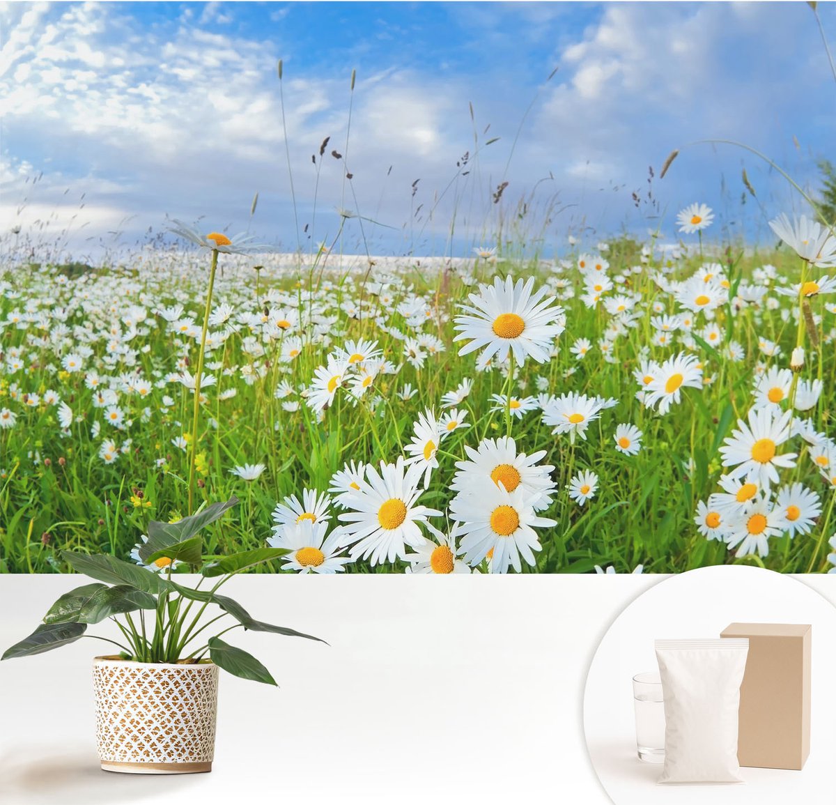 Wallfluent Fotobehang - Wit Vliesbehang - 152x104 cm - Zomerweide Muurschildering - Slaapkamer behang Bloemen En Planten - Fotobehang Vlies - Slaapkamer behang