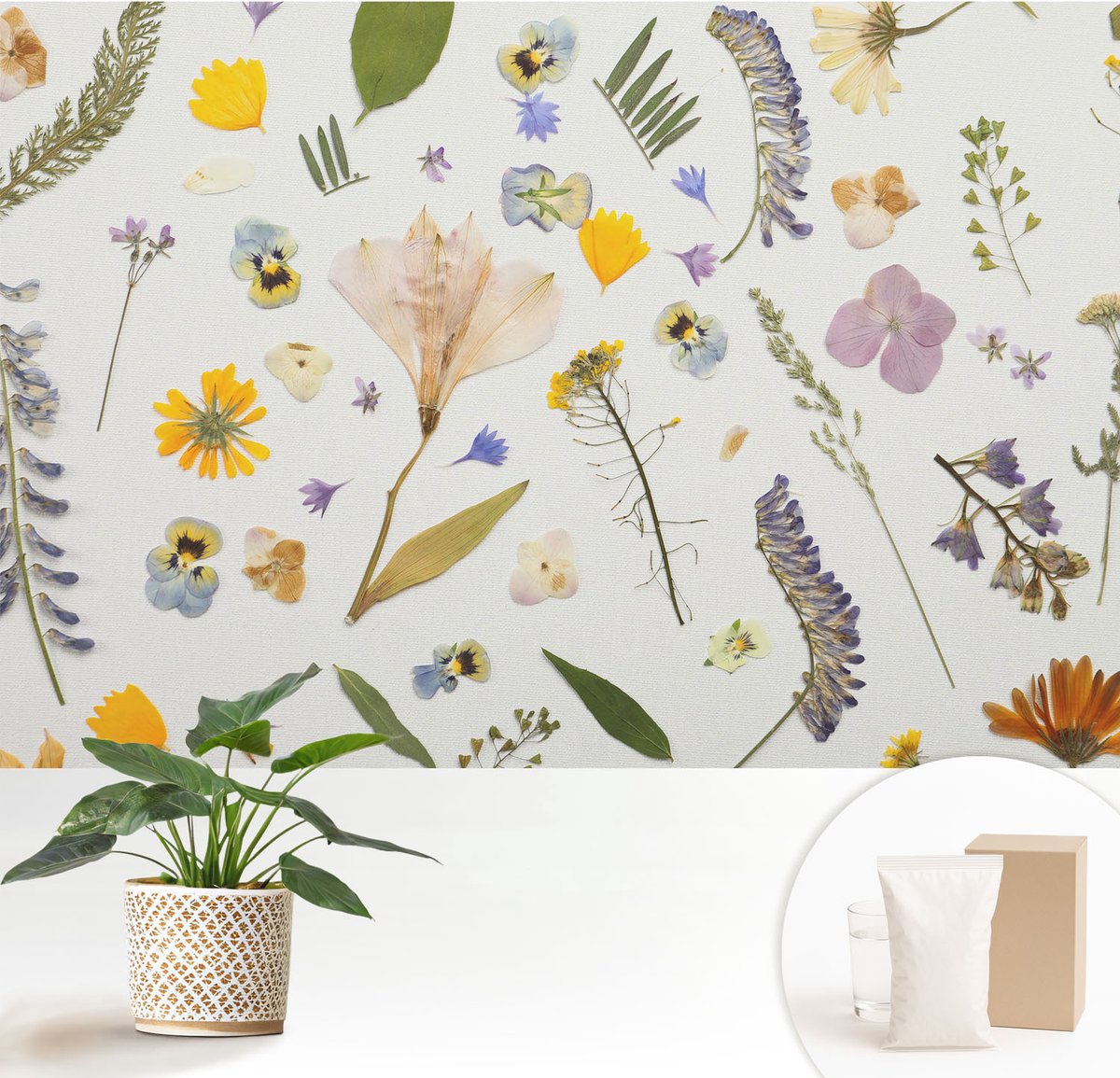 Wallfluent Fotobehang - Wit Vliesbehang - 152x104 cm - Lentebloemen Fotobehang Vlies - Hal behang Bloemen En Planten - Muurschildering - Woonkamer behang