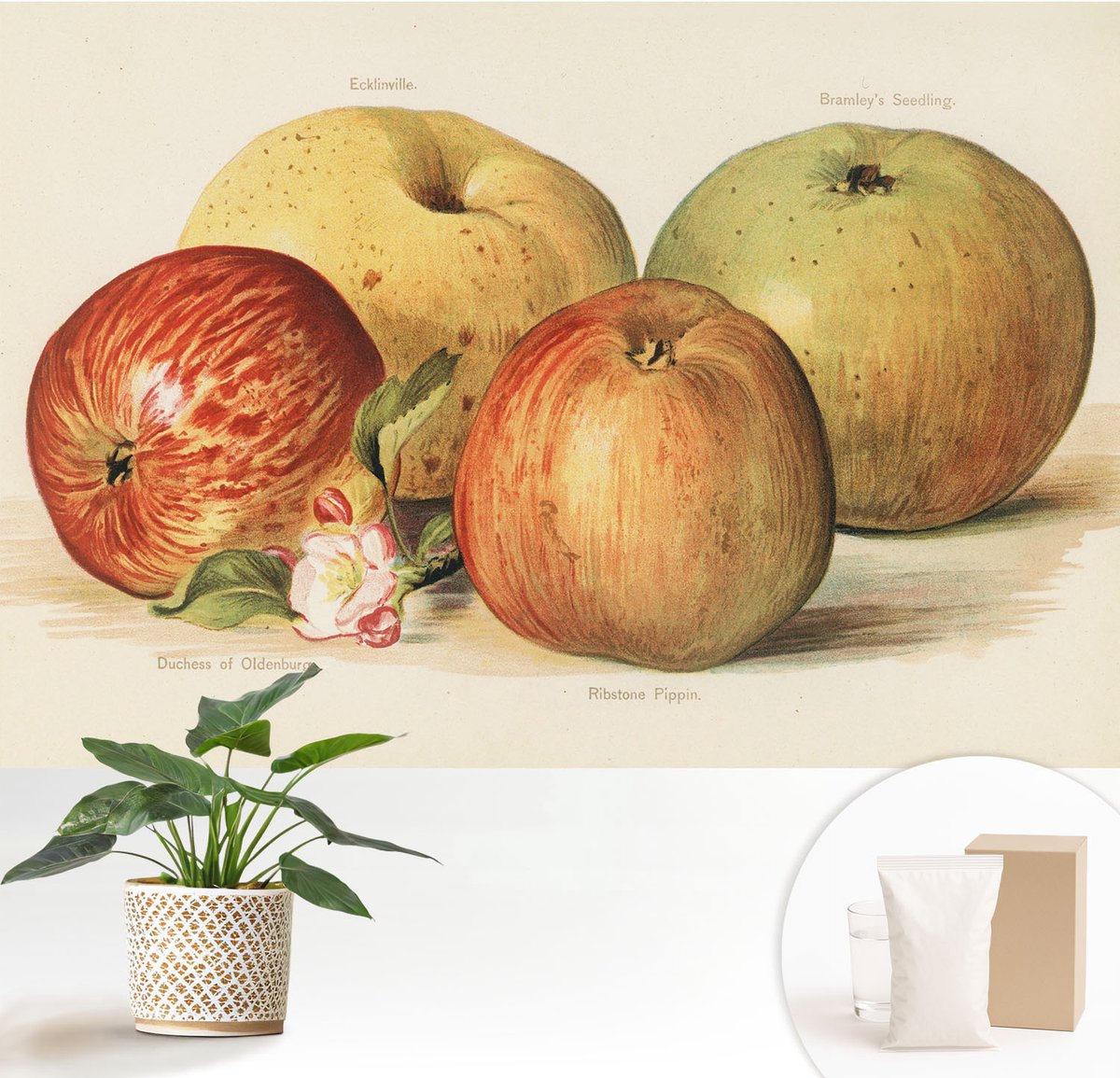 Wallfluent Fotobehang - Geel Vliesbehang - 152x104 cm - Appelbloesems Muurschildering - Slaapkamer behang Voedsel - Fotobehang Vlies - Slaapkamer behang