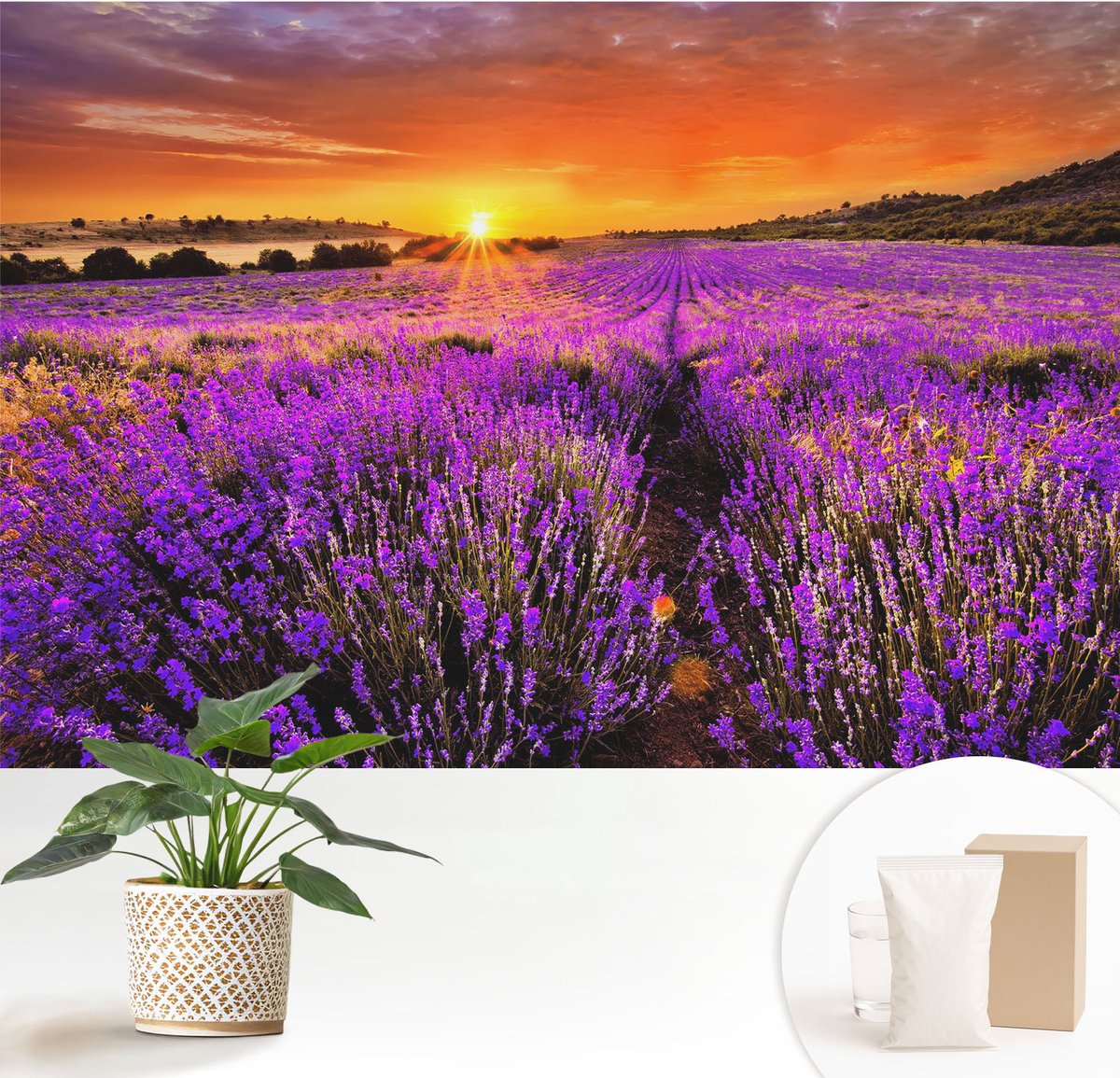 Wallfluent Fotobehang - Paars Vliesbehang - 152x104 cm - Lavendelzonsondergang Fotobehang Vlies - Hal behang Landschappen - Muurschildering - Woonkamer behang