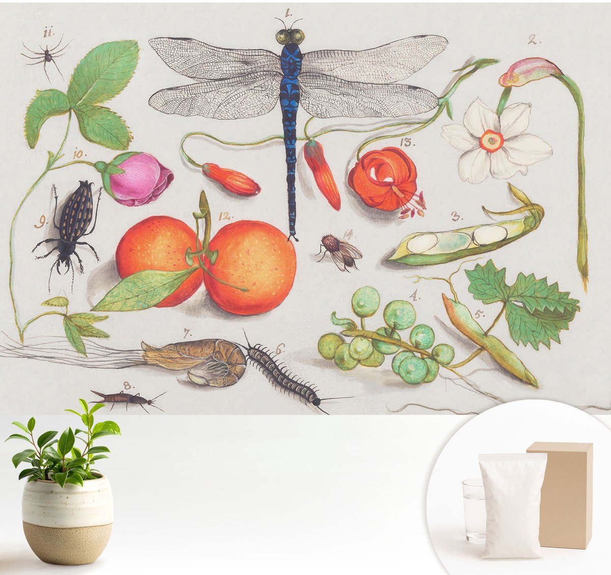 Wallfluent Fotobehang - Wit Vliesbehang - 104x70 cm - Natuurillustratie Muurschildering - Gang behang Bloemen En Planten - Fotobehang Vlies - Slaapkamer behang