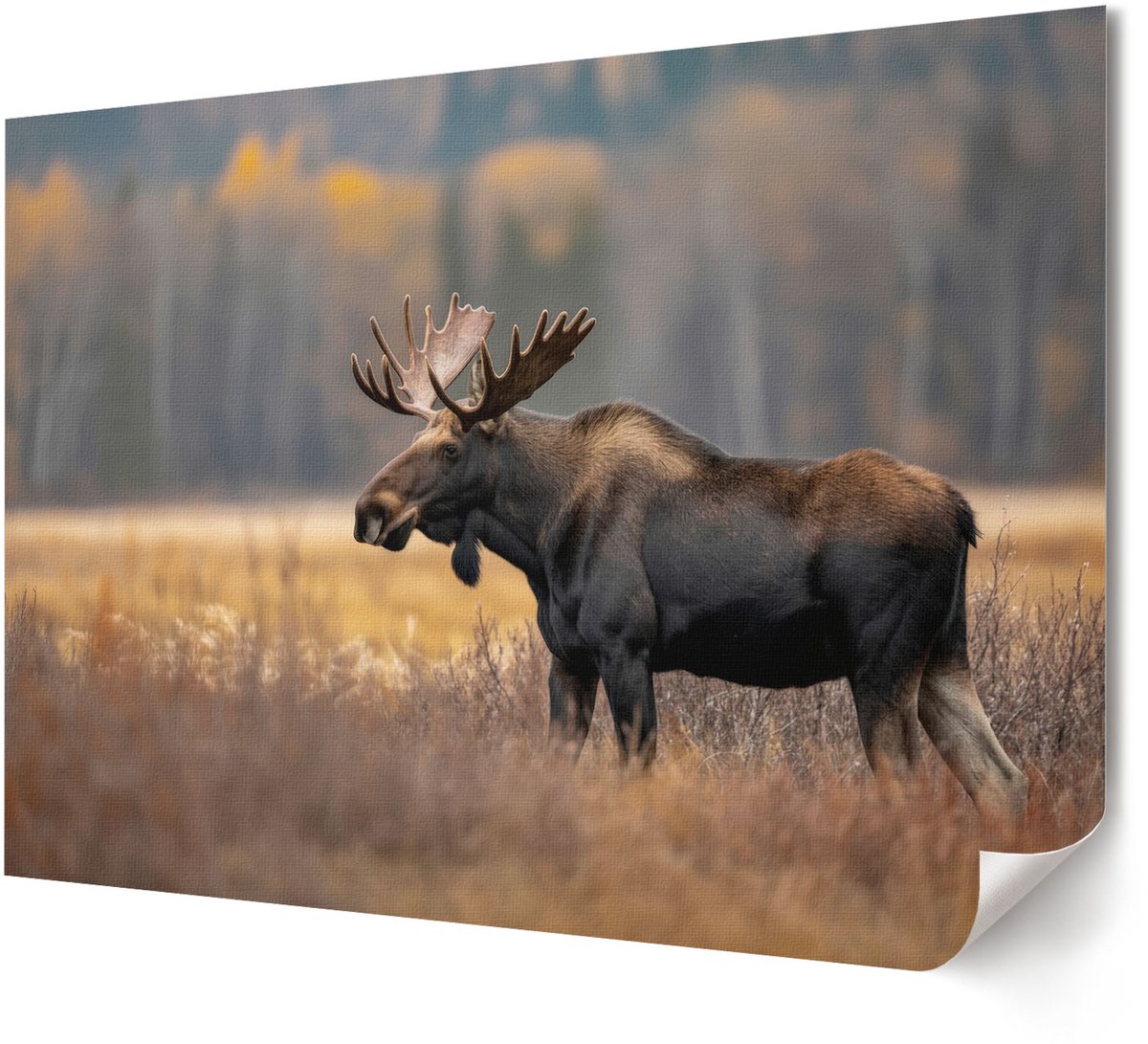 Coloray Canvas Poster Polycanvas - Retro Grammofoon, Zwart - A4 - Zwart-wit Decoratie - Rechthoek - Decoratieve poster - Kantoor - Klassiek