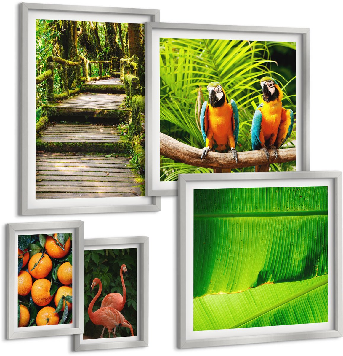 Coloray 5-Delige Schilderij Set - Fruitige Accenten Met Papegaaien En Flamingo'S In De Tropen - 20 x 30 cm - Stijlvolle Wanddecoratie - Interieur - Interieur Decoratie