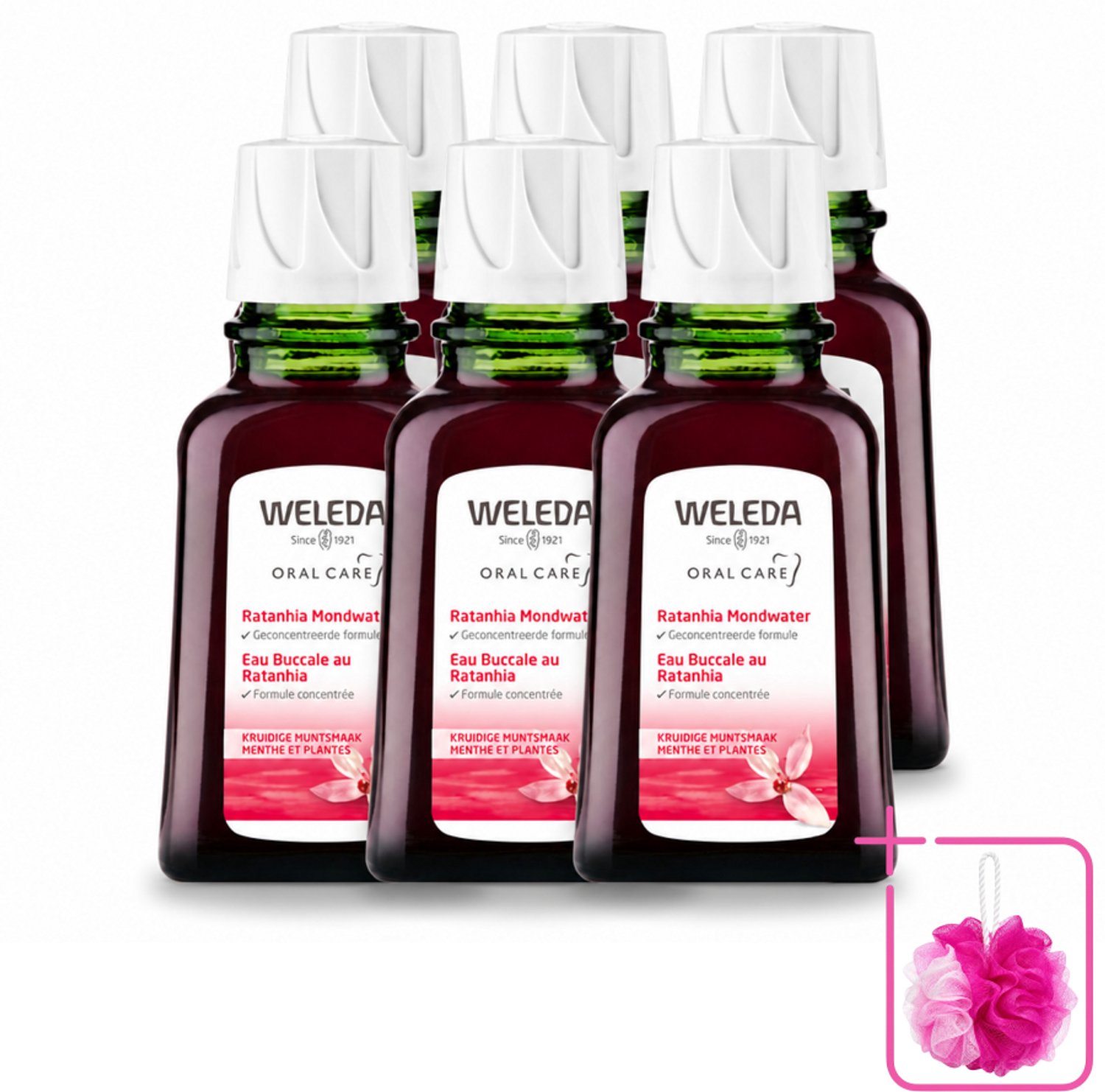 6 x WELEDA - Mondwater geconcentreerd - Ratanhia - 50 ml - Bulkverpakking - Mondwater - Douchemop - Tandvlees verzorging