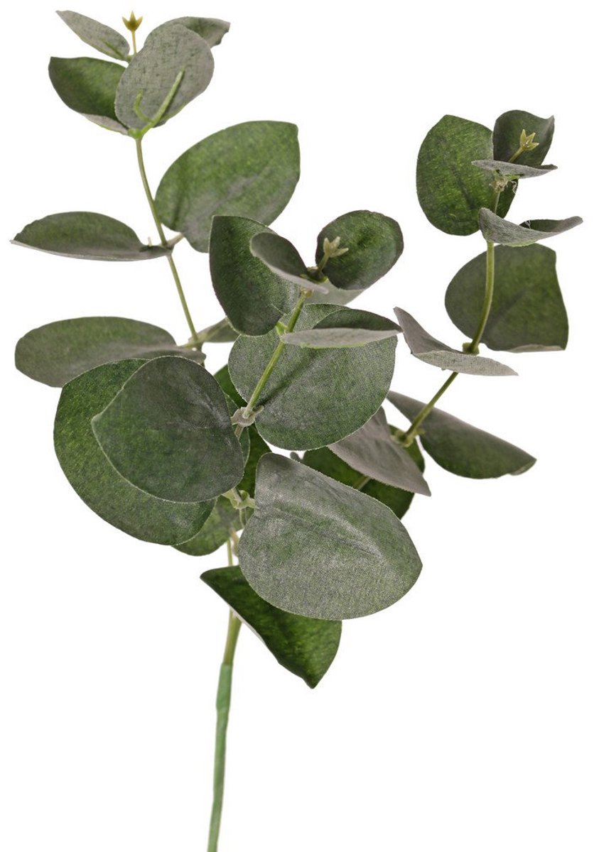 Eucalypyussteek x3 28 cm kunstbloem zijde nepbloem Driesprong Colle...