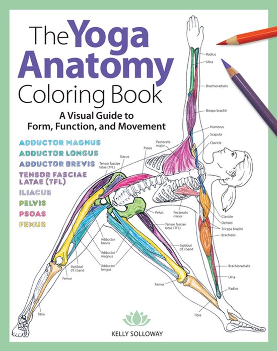 The Yoga Anatomy Coloring Book - cover