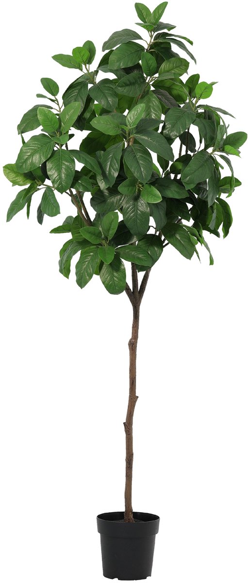 Florafy Kunstplant Magnolia 187cm - Kunstplanten voor binnen - Onderhoudsvrij Groen