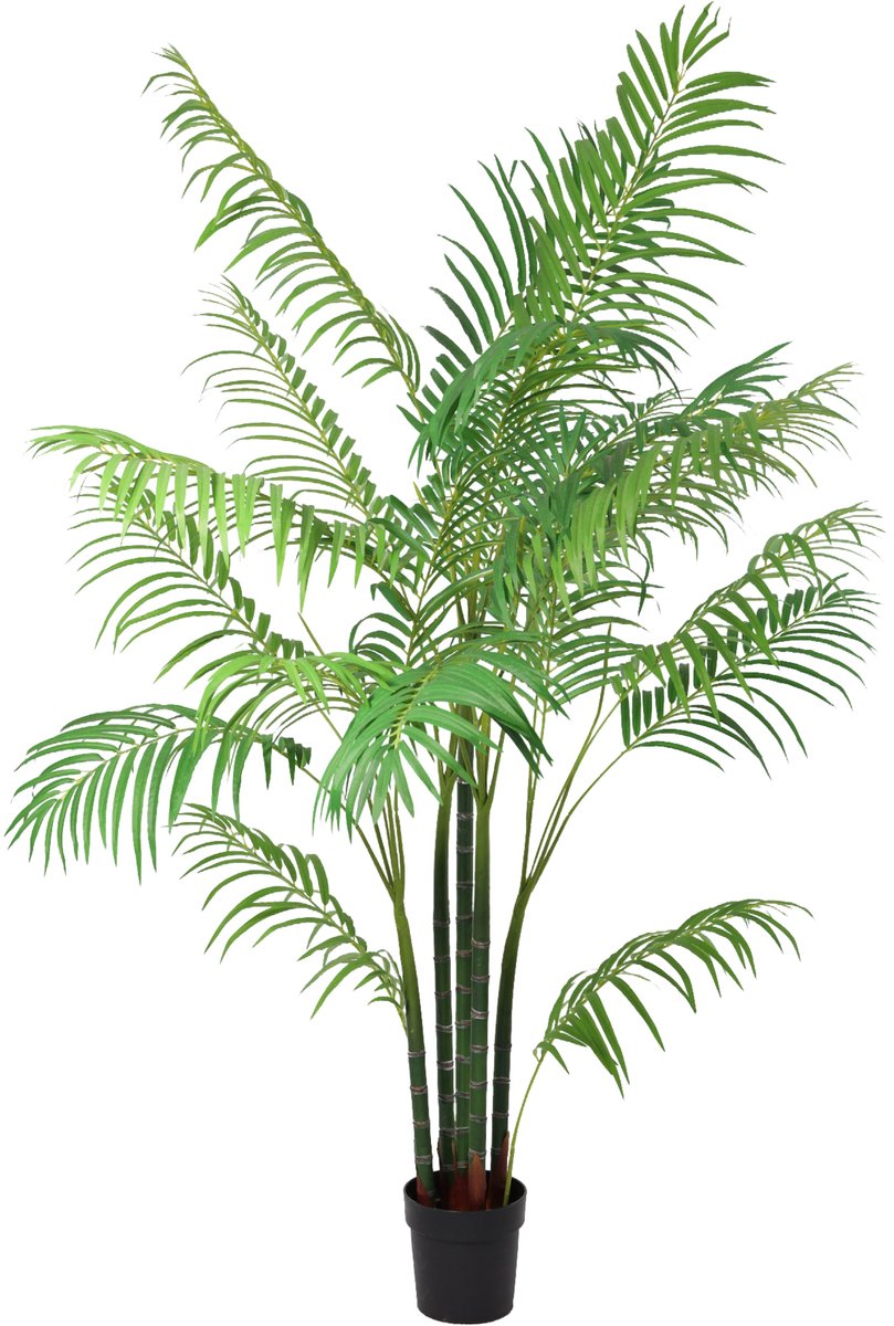 Florafy Kunstplant Areca 190cm - Kunstplanten voor binnen - Onderhoudsvrij Groen