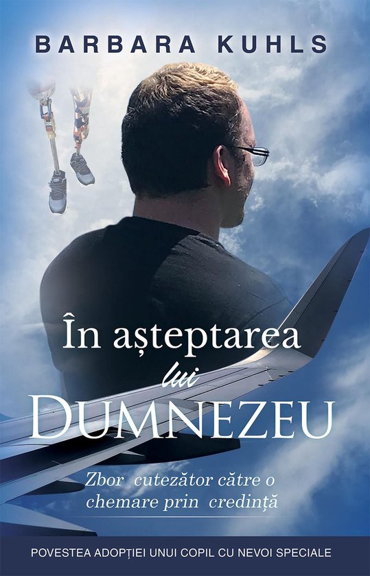 ÎN AȘTEPTAREA lui DUMNEZEU - cover