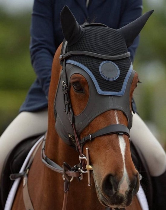 Bruin paard met bles draagt een zwart gaas-masker met blauwe accenten.