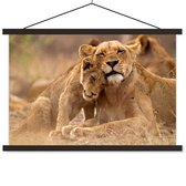 Lionne à la jeune affiche textielposter lattes noir 60x40 cm