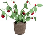 5Pcs Mini Tuingereedschap Hand Set Succulenten Wat... – Vicedeal