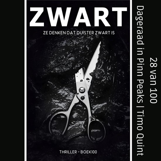 Dageraad in Pinn Peaks - cover