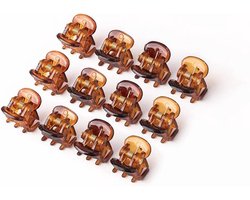 12 Stuks Mini Haarclips voor Dames en Meisjes - Kleine Acryl Klemmetjes met Opbergdoos