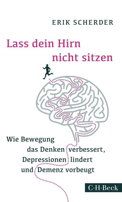 Beck Paperback 6238 - Lass dein Hirn nicht sitzen - cover
